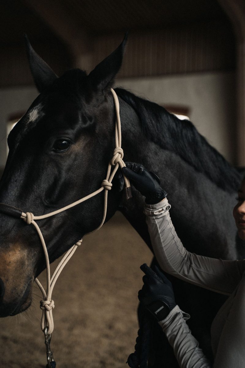 Pomme_Hailey_Riding_Gloves_7