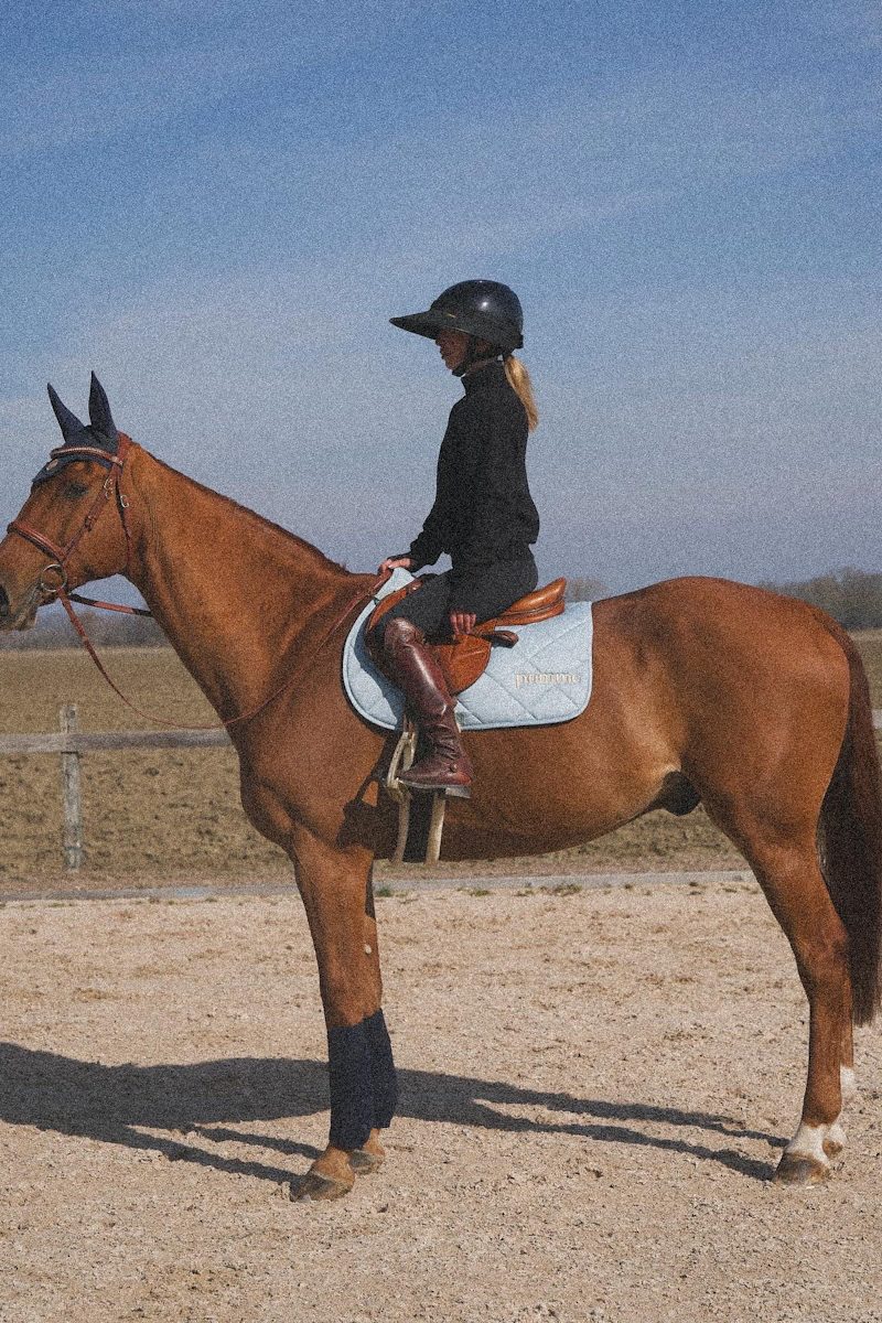 Riding breeches women