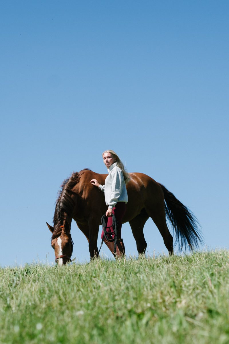 Wendy_Burgundy_Seamless_Rib_Riding_Leggings_4